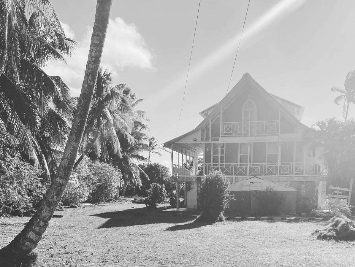 Islander House On Rocky Cay Beach San Andrés المظهر الخارجي الصورة